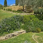 Historic With Pool In Umbria 別荘