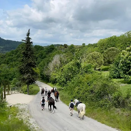 Historic With Pool In Umbria * Monte Santa Maria Tiberina
